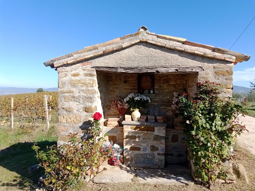 cappellina